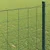 Vidaxl Evropska ograja Zelena 0,6 x 10 m PVC prevlečen železo