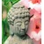 Fototapeta kip Bude v Zen vrtu - 245x270