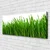 tulup.si Slika na platnu Grass nature rastlin 120x60 cm
