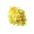 PETA CRISPY NEVTRALNI SOSA 2-4.5 mm
