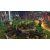 Switch Jumanji: Wild Adventures