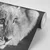 Fototapeta levji mladič v črno-beli varianti - 196x270
