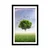 Plakat s paspartujem samotno drevo na travniku - 40x60 white