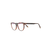 Peter & May Walk-tortoiseshell glasses-women-Brown