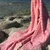 Lessentiel Maison Peškir za plažu 90x170cm Roze