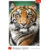 PUZZLE 1500 tigar