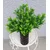 Lilium buket simsir 1x5 set/2 140175