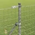 Temeljna zavarena žičana ograda 10 x 1,4 m (Š x V)