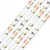 megaMIŠKA LED trak 300 LED 4,8W/m IP65 6500K 5m