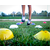 SPORTEH Marker set 50cm, Set od 50 kapica