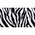 shumee Rezalna ploa steklene ploe 52x30 Zebra