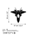 Wallity Zidna dekoracija F-22 RAPTOR, 57 x 56 cm, Crna