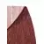 Conceptum Hypnose Tepih Tema 9039, Ovalni, 200 x 290 cm, Bordo