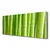 tulup.si Slika na platnu Bambus stem flower rastlin 125x50 cm