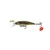 Vobler Goldy -Tiny- 3,8cm