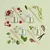 Pomegranate & Raspberry Reed Diffuser 125 ML