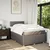 Vidaxl Box spring postelja z vzmetnico taupe 120x190 cm blago