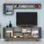 Hanah Home TV komoda Ayla 845HCT3065