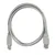 Qoltec USB 2.0 kabel A moški | B moški | 1 m