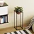Aberto Design Dekorativna saksija GED-021-B, 60 cm, O 20 cm ,, Crna