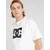 DC Shoes Majica  črna / bela