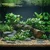 shumee Kruger Meier River Serenity 2-8 mm - Akvarijski gramoz 2 kg