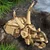 Lego Jurassic World Fosili dinosaurusa: Lobanja triceratopsa 76969, Uzrast 9+
