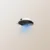 XIAOMI Robot Vacuum H50 EU (BHR08GUEU)