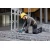 Bosch Ugaoni odvrtač GRC 18V-60, ( 06019N8000 )