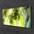 tulup.si Slika na platnu Apple tree branch narava 100x50 cm