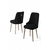 Hanah Home Set stolica Newa, 46x94x46 cm, 4 komada, Crno-srebrne boje