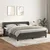 Vidaxl Box spring postelja z vzmetnico temno siva 180x200 cm žamet