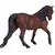Mojo Horse Morgan rjava