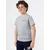 Champion Authentic Athletic Apparel Majica pegasto siva