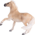 Moj konj Brumby Mare