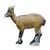 SRT Target 3D Iberian Ibex Female