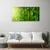 tulup.si Slika na platnu Bamboo stebla rastlin 100x50 cm