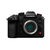 Panasonic Lumix GH7 (body)