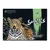 shumee Magic Scratch Card Mysterious Cheetah 40x28 cm