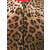 Dolce & Gabbana - leopard print cardigan - women - Brown