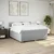 Vidaxl Box spring postelja z vzmetnico svetlo siva 200x200 cm blago