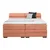 Boxspring Krevet Sevilla 160/200 cm , koral