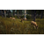 PS5 Way Of The Hunter