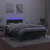 Vidaxl Box spring postelja z vzmetnico LED tem. zelena 120x200cm žamet