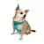 Paws & Whiskers Am za pse Air-Mesh, Tirkizni