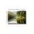 Wallity Slika na platnu 70x100cm