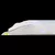 WS GM 9004 TRISTAN-2 Mouse White