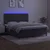 Krevet box spring s madracem LED tamnosivi 180x200 cm baršun
