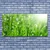 tulup.si Slika na platnu Narava grass drops 125x50 cm