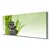 tulup.si Slika na platnu Bambus grass rastlin narava 120x60 cm